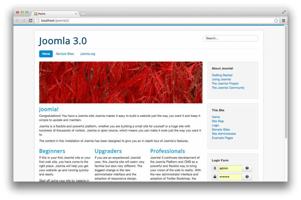 Joomla 3 前台模板 protostar